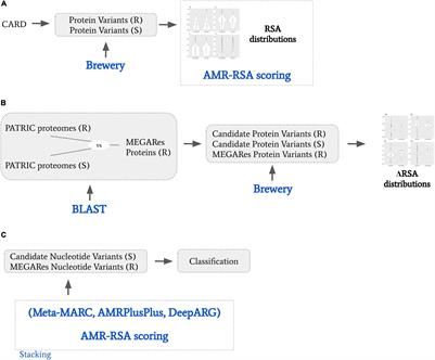 Exploring Prediction of Antimicrobial Resistance Based on Protein Solvent Accessibility Variation